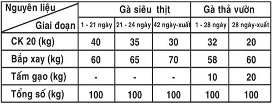 Hướng dẫn sử dụng đậm đặc cho gà thịt